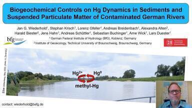 Biogeochemical Controls on Hg Dynamics in Sediments and Suspended Particulate Matter of Contaminated German Rivers
